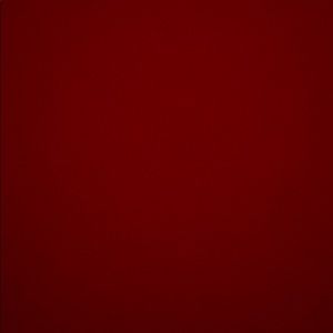 Meet your Posher, Brady